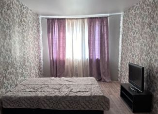 Сдаю 1-ком. квартиру, 50 м2, Дзержинский, Лесная улица, 5