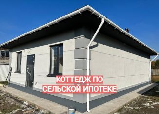 Продам дом, 86 м2, село Толмачёво, Молодёжная улица