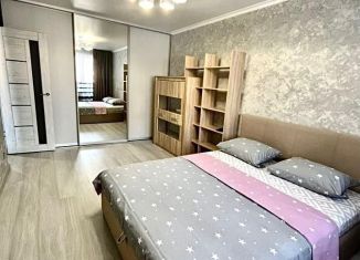 Аренда 1-комнатной квартиры, 40 м2, Татарстан, Меридианная улица, 11