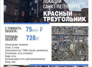 Продается помещение свободного назначения, 728 м2, Санкт-Петербург, набережная Обводного канала, 134-136-138к231, муниципальный округ Екатерингофский