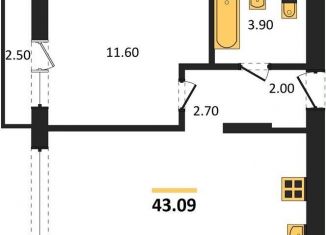 Продаю 1-комнатную квартиру, 43.1 м2, Новосибирск, метро Гагаринская, улица Аэропорт, 88