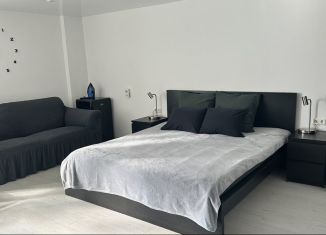 Сдается квартира студия, 35 м2, Карелия, Красноармейская улица, 33