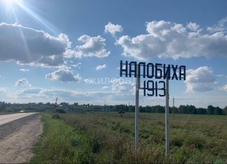 Продаю дом, 150 м2, село Налобиха, Зелёная улица, 1А