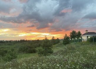 Продам земельный участок, 10 сот., деревня Раздолье, Берёзовая улица