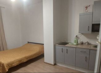 Квартира в аренду студия, 25 м2, Екатеринбург, улица Отто Шмидта, 44