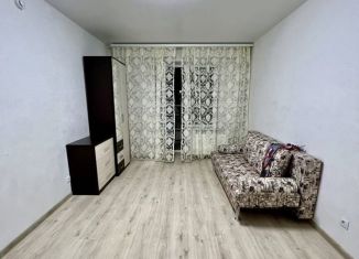 Однокомнатная квартира в аренду, 45 м2, поселок городского типа Стройкерамика, улица Анетты Басс, 2с6