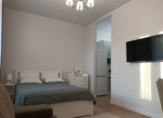 Сдается 1-ком. квартира, 30 м2, Москва, Корабельная улица, 6, ЮАО