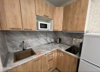 Сдам квартиру студию, 31 м2, Новосибирск, Красный проспект, 167/4, Красный проспект