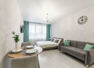 Квартира в аренду студия, 30 м2, Череповец, проспект Луначарского, 55