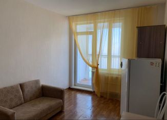 Сдаю в аренду квартиру студию, 22 м2, Красноярск, улица Борисова, 42