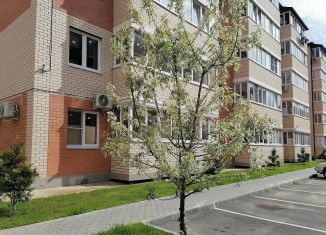 Продается 2-комнатная квартира, 25.6 м2, аул Новая Адыгея, ЖК Дарград