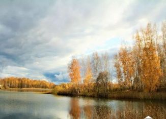 Земельный участок на продажу, 16 сот., село Большие Кургузи, Клубная улица