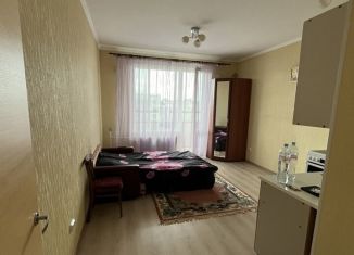 Квартира в аренду студия, 26.1 м2, Сертолово, Тихвинская улица, 8к3