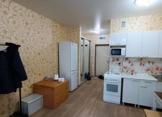 Квартира в аренду студия, 30 м2, Новосибирск, улица Костычева, 36, метро Площадь Маркса