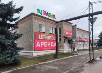 Торговая площадь на продажу, 1500 м2, Пензенская область, улица Чапаева, 81