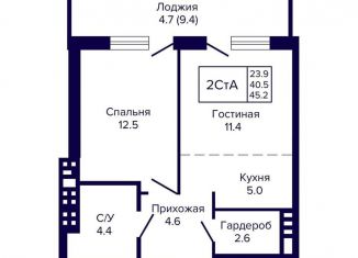 Продажа двухкомнатной квартиры, 45.2 м2, Новосибирская область, улица Ляпидевского, 5