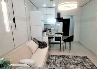 Продам квартиру студию, 30 м2, Краснодар, улица Петра Метальникова, 38