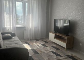 Аренда 1-комнатной квартиры, 40 м2, Курган, улица Климова, 129