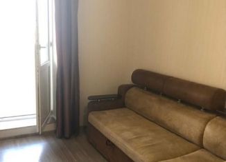 Сдача в аренду квартиры студии, 30 м2, Ростов-на-Дону, улица Пацаева, ЖК Звёздный