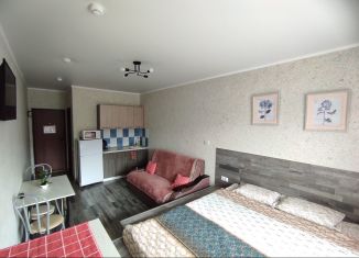 Продается таунхаус, 22 м2, деревня Зелёная Поляна, Курортная улица, 15/1А