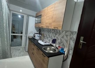 2-комнатная квартира в аренду, 320 м2, Краснодарский край, Крымская улица, 41к1