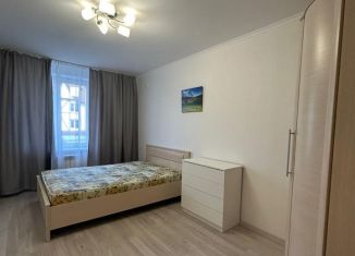 Сдается 1-ком. квартира, 30 м2, Калуга, улица Бориса Литвинчука, 12, ЖК Видный