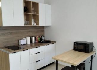 Продается квартира студия, 24 м2, Сочи, ЖК Кислород, Ясногорская улица, 16/2к2