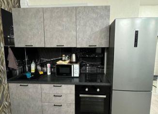 Сдаю квартиру студию, 30 м2, Тюмень, Новгородская улица, 1