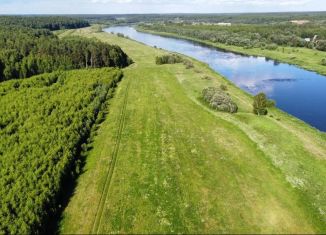 Участок на продажу, 670 сот., деревня Гольшино