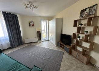 Сдаю однокомнатную квартиру, 43 м2, поселок Зональная Станция, улица Королёва, 14