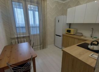 Сдается 1-ком. квартира, 41 м2, Воронеж, улица Антонова-Овсеенко, 35Э