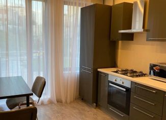 Сдача в аренду 1-ком. квартиры, 35 м2, Татарстан, улица Волкова, 12