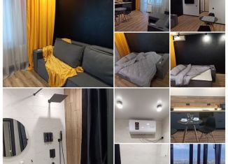 Квартира в аренду студия, 31 м2, Татарстан, проезд Созидателей, 7