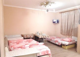 Сдам в аренду квартиру студию, 40 м2, Москва, Центральная улица, 12к1