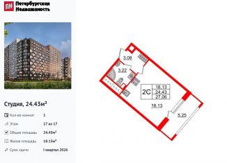 Продажа квартиры студии, 24.4 м2, Санкт-Петербург, Невский район