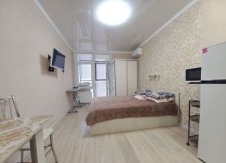 Квартира в аренду студия, 28 м2, Анапа, улица Ленина, 185Ак4