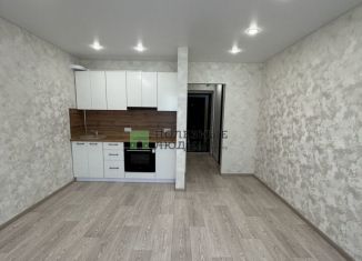 Продается квартира студия, 25 м2, село Чигири, Европейская улица, 7