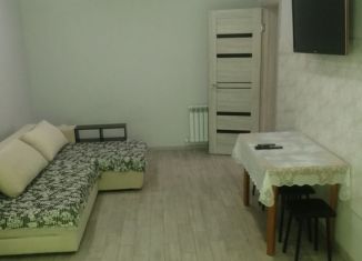 Сдаю в аренду дом, 45 м2, Геленджик, Западный переулок, 4