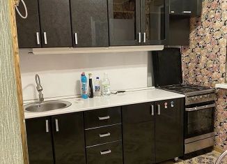 Сдача в аренду однокомнатной квартиры, 30 м2, село Нижегородка, улица Чапаева, 29/1