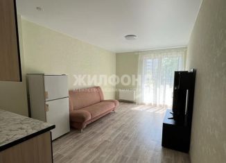 Сдам квартиру студию, 22 м2, Новосибирск, улица Зорге, 47/2