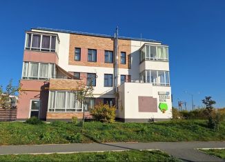 Продается 2-ком. квартира, 52.3 м2, село Балтым, Васильковая улица, 2