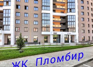 Продается 1-комнатная квартира, 39.9 м2, Алтайский край, улица Энтузиастов, 59