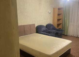 Сдам в аренду 2-комнатную квартиру, 45 м2, Санкт-Петербург, улица Коллонтай, 27к1К, метро Улица Дыбенко