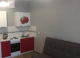 Квартира в аренду студия, 24 м2, Иркутск, улица Лермонтова, 31