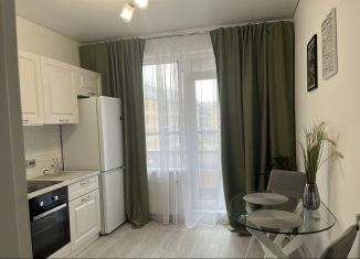 Сдается 1-ком. квартира, 32 м2, Санкт-Петербург, улица Струве, 10к1