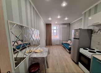 Аренда 1-ком. квартиры, 50 м2, Татарстан, проспект Химиков, 86