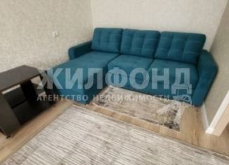 Сдам в аренду 1-ком. квартиру, 29.5 м2, Новосибирск, улица Крылова, 69А