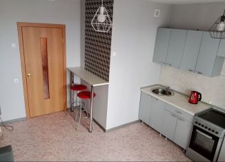 Сдается квартира студия, 25 м2, Копейск, проспект Славы, 26