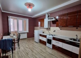 2-ком. квартира в аренду, 64 м2, станица Ессентукская, улица Гагарина, 110/1