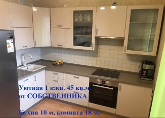 Сдаю в аренду 1-ком. квартиру, 45 м2, Московская область, Крымская улица, 9к1